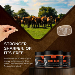 Lonvera Vital Bull prostate cap showcases organ-rich blend for overall wellness.