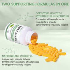 LovelyStore CoQ10 capsule close-up highlighting antioxidant energy benefits