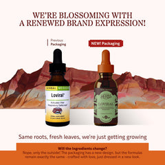 Loviral ingredient visual highlights lomatium, osha, elecampane, and echinacea for immune-friendly respiratory support.