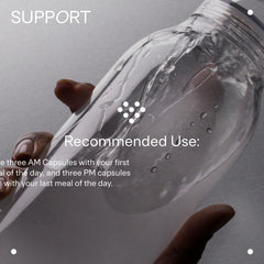 LTH Daily Performance in a morning routine setup with water glass