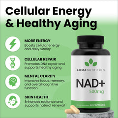 Luma NAD+ capsules closeup showcases smooth, easy-to-swallow daily capsules.