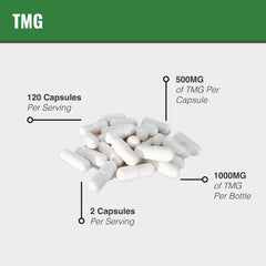 MAAC10 TMG label closeup highlighting product details and certifications.