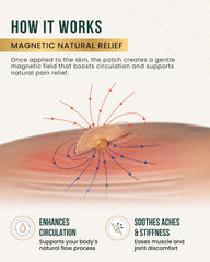 MagnetRX 24k gold-coated magnets resist corrosion for long-lasting use