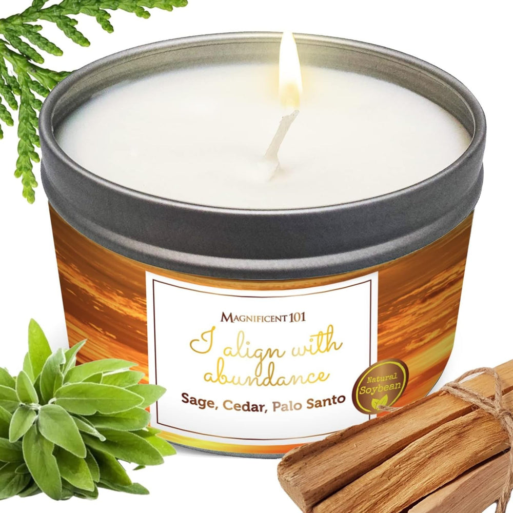 Magnificent 101 I Align with Abundance candle in a tin for focused energy alignment.