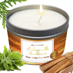 Magnificent 101 I Align with Abundance candle in a tin for focused energy alignment.