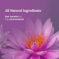 Magnificent 101 sage and palo santo aroma fills the room for clarity.