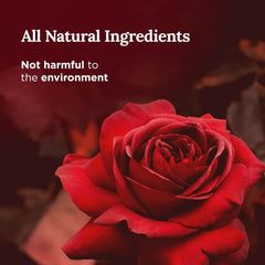 Magnificent 101 self-love candle 35-hour burn supports extended meditation sessions.