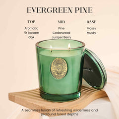 M&SENSE 19.8 oz candle delivers smoke-free, soot-free burn for calm evenings.
