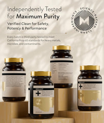 Manna Vitality Shilajit+ Capsules close-up reveals fulvic acid content