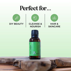 Maple Holistics Tea Tree Oil dropper for targeted topical treatments.