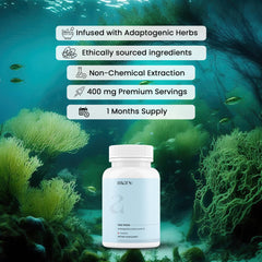 Mars by GHC Surge Sea Moss Caps pour highlights easy dosing for energy and balance