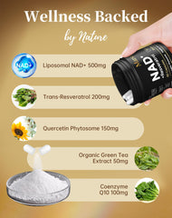 MARSTA CoQ10 capsule close-up illustrating energy synergy for everyday activity.