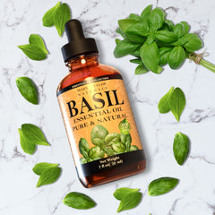 Basil essential oil in diffuser setup by Mary Tylor Naturals