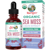 MaryRuth Organics sea moss drops bottle ready for daily use.