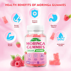 MEENCCD Moringa Gummies 800mg extract highlights potency
