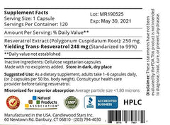 Mega Resveratrol capsules close-up highlighting micronized form for absorption potential