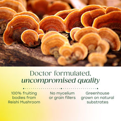 MegaFood Ashwagandha KSM-66 raw root highlights premium adaptogen blend