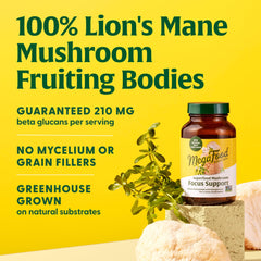 MegaFood Lions Mane capsules poured into water, ready for daily mindful support.
