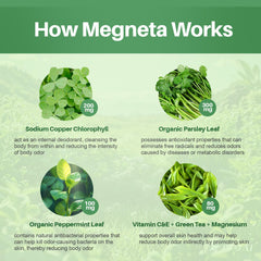 MEGNETA ingredients chlorophyllin parsley and peppermint in the formula