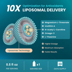 MEGNETA pouches lined up for travel-friendly daily supplement routine