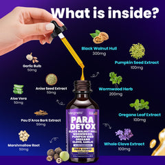 MEGNETA wormwood herb close-up indicating herbal potency for digestion