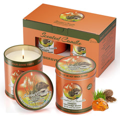 MeiGlow amber vetiver musk candle in tin fills room with inviting warmth.