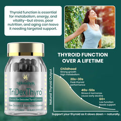 Meliorantheris TriDexThyro 3mm bead granules ready for daily use.