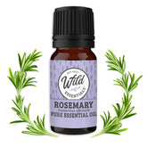 messentials wild-essentials rosemary oil 10ml bottle for uplifting aroma and focus.