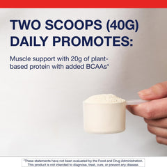 Metagenics Perfect Protein Vanilla – pea and rice protein sources illustrating clean, non-GMO, dairy-free benefits
