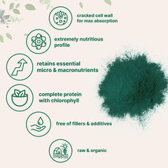 Vegan Micro Ingredients chlorella powder provides plant-based protein.