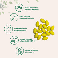 Micro Ingredients enteric coating illustration protects bromelain for intestinal delivery.