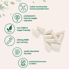 Micro Ingredients NMN label detail highlights non-GMO and third-party testing