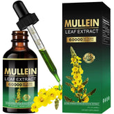 MICUEVU Mullein Drops bottle shows clean packaging for supported respiratory wellness
