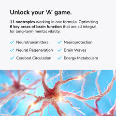 Mind Lab Pro MLP4 label info highlights plant based nutrients for cognitive wellness