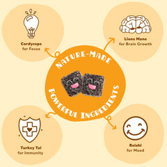 Mini Mushy's cordyceps focus-gummy image suggests kid-friendly focus support.