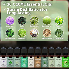 MISIJI Diffuser oils scents palette, perfect for customizing mood lighting and relaxing routines.