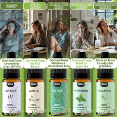 MISIJI Professional perfumery team, delivering consistent fragrance profiles through expert extraction.