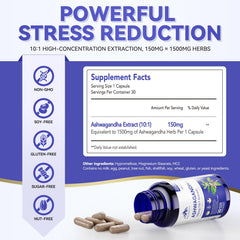 Mission Hill Foods Ashwagandha capsules closeup showing high-concentration extract for resilience.