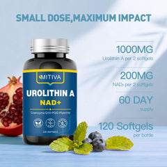 MITIVA Urolithin A serving cup showing dosage for a balanced daily routine.