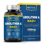 MITIVA Urolithin A supplement bottle ready for daily vitality and routine energy.