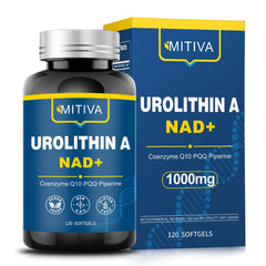 MITIVA Urolithin A supplement bottle ready for daily vitality and routine energy.