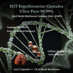 MixPower EGT 70mg capsules closeup emphasizes compact, travel-friendly supplement.