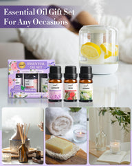 MIZZEO Gift box with three pure essential oils for thoughtful presents.