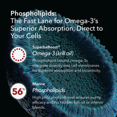 Mobisyn Krill Oil capsule closeup emphasizes high phospholipid content and quick absorption.