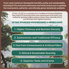 Modern Sage label closeup highlighting organic quality and extract strength.