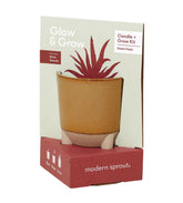Modern Sprout Glow and Grow candle in glaze ceramic vessel ready to become aloe planter.