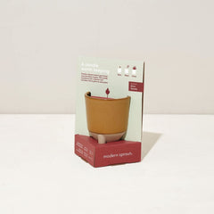 Modern Sprout Glow and Grow candle with reactive glaze enhances warm home decor.