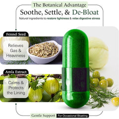 momentM Equilibrium label info featuring HOWARU strains and balanced digestion notes