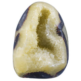 Mookaitedecor septarian dragon geode front view for chic home décor