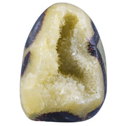 Mookaitedecor septarian dragon geode front view for chic home décor